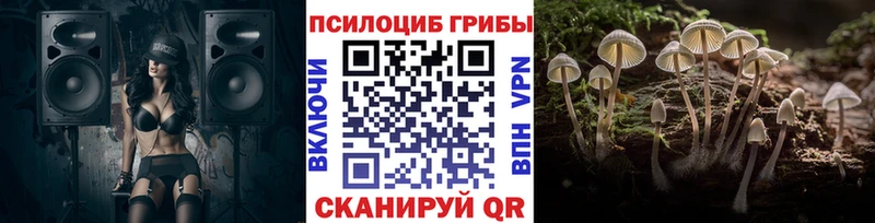 Псилоцибиновые грибы MAGIC MUSHROOMS  Александровск 